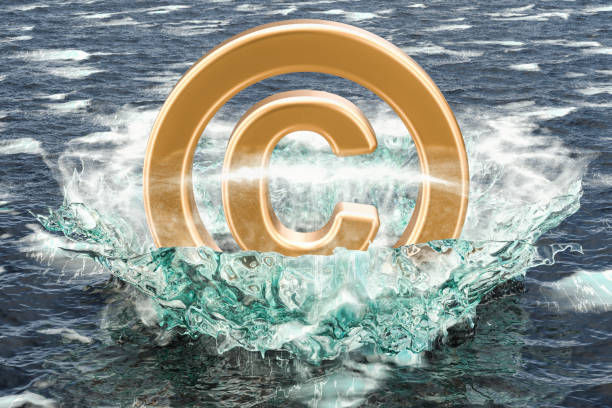 上海商标转让流程是什么，需要注意哪些事项？