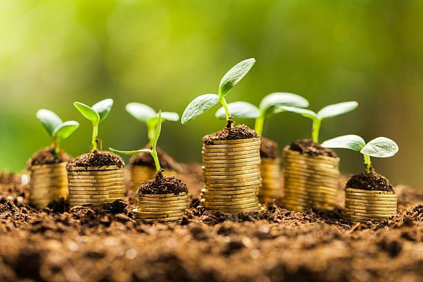 财务公司如何协助上海企业实现外资投资资金的合规管理？